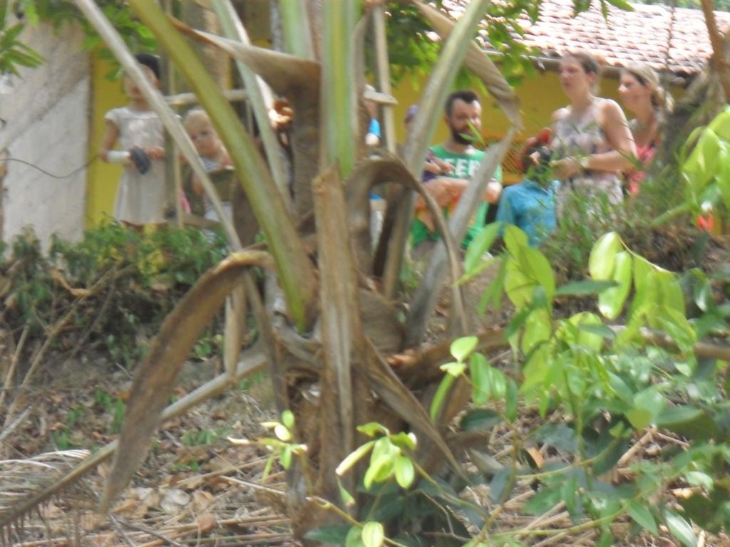 Lavendra Villa Mirissa Exterior foto
