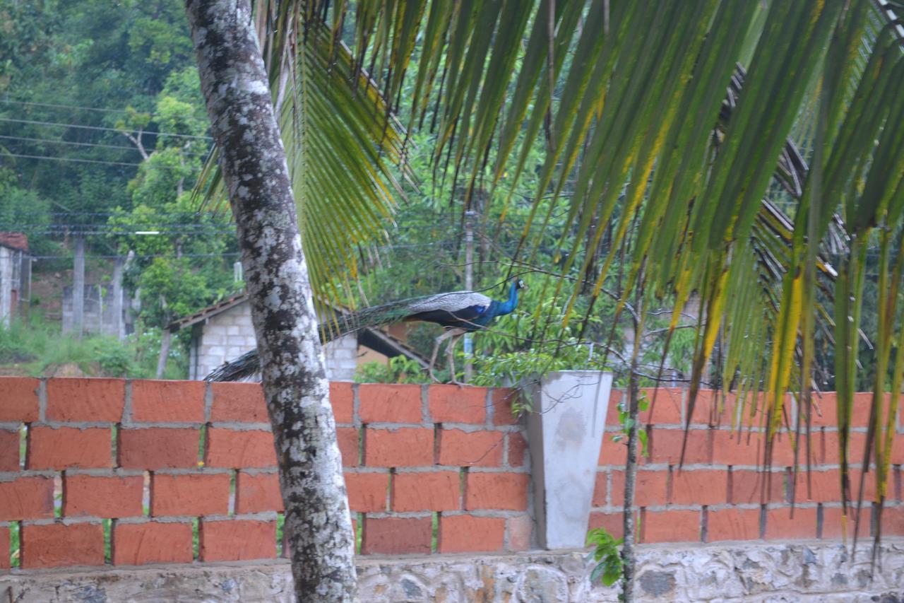 Lavendra Villa Mirissa Exterior foto